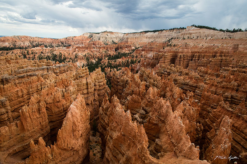 Storm Over Bryce Canyon