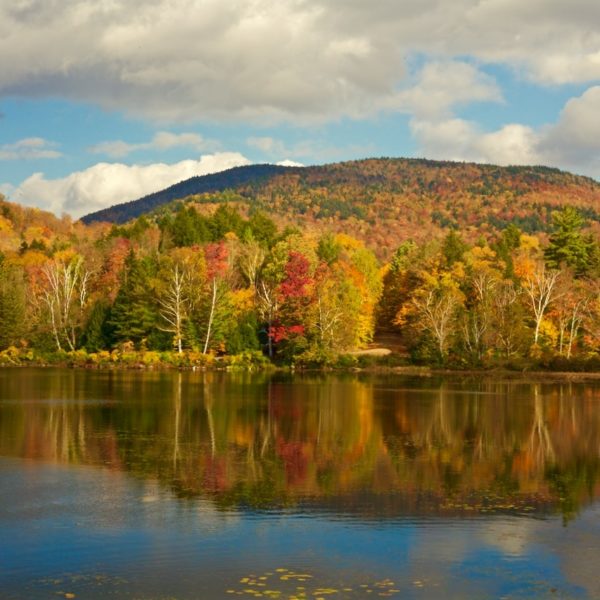 Adirondack Tupper Lake Autumn Reflections - Martin Spilker Photography