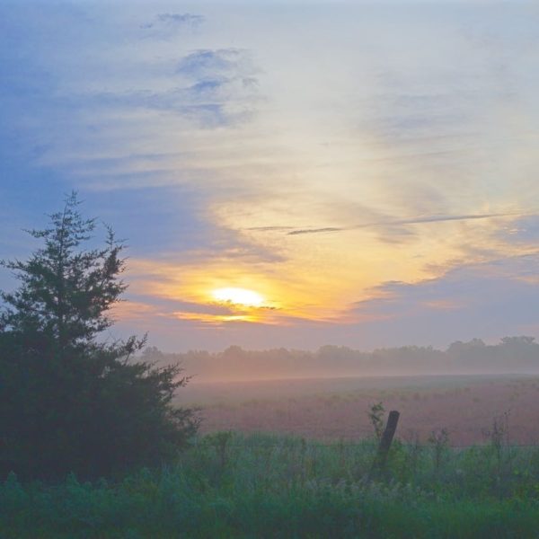 Misty Meadow Sunrise Martin Spilker Photography